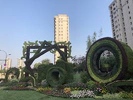 杭城18件“植物雕塑”陪您过长假